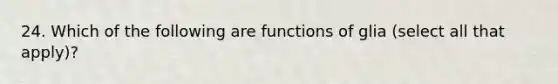 24. Which of the following are functions of glia (select all that apply)?