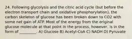 24. Following glycolysis and the citric acid cycle (but before the electron transport chain and oxidative phosphorylation), the carbon skeleton of glucose has been broken down to CO2 with some net gain of ATP. Most of the energy from the original glucose molecule at that point in the process, however, is in the form of _________. A) Glucose B) Acetyl-CoA C) NADH D) Pyruvate