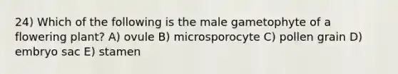 24) Which of the following is the male gametophyte of a flowering plant? A) ovule B) microsporocyte C) pollen grain D) embryo sac E) stamen