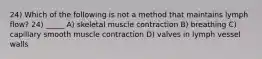 24) Which of the following is not a method that maintains lymph flow? 24) _____ A) skeletal muscle contraction B) breathing C) capillary smooth muscle contraction D) valves in lymph vessel walls