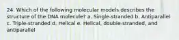 24. Which of the following molecular models describes the structure of the DNA molecule? a. Single-stranded b. Antiparallel c. Triple-stranded d. Helical e. Helical, double-stranded, and antiparallel