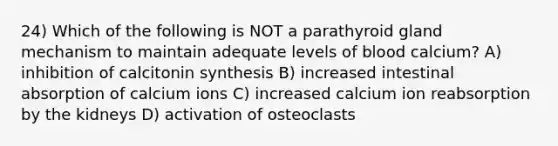 24) Which of the following is NOT a parathyroid gland mechanism to maintain adequate levels of blood calcium? A) inhibition of calcitonin synthesis B) increased intestinal absorption of calcium ions C) increased calcium ion reabsorption by the kidneys D) activation of osteoclasts