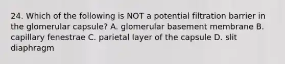 24. Which of the following is NOT a potential filtration barrier in the glomerular capsule? A. glomerular basement membrane B. capillary fenestrae C. parietal layer of the capsule D. slit diaphragm