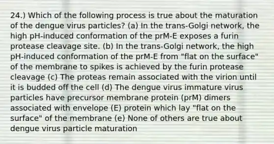 24.) Which of the following process is true about the maturation of the dengue virus particles? (a) In the trans-Golgi network, the high pH-induced conformation of the prM-E exposes a furin protease cleavage site. (b) In the trans-Golgi network, the high pH-induced conformation of the prM-E from "flat on the surface" of the membrane to spikes is achieved by the furin protease cleavage (c) The proteas remain associated with the virion until it is budded off the cell (d) The dengue virus immature virus particles have precursor membrane protein (prM) dimers associated with envelope (E) protein which lay "flat on the surface" of the membrane (e) None of others are true about dengue virus particle maturation