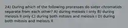 24) During which of the following processes do sister chromatids separate from each other? A) during meiosis I only B) during meiosis II only C) during both mitosis and meiosis I D) during both mitosis and meiosis II