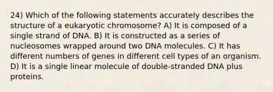 24) Which of the following statements accurately describes the structure of a eukaryotic chromosome? A) It is composed of a single strand of DNA. B) It is constructed as a series of nucleosomes wrapped around two DNA molecules. C) It has different numbers of genes in different cell types of an organism. D) It is a single linear molecule of double-stranded DNA plus proteins.