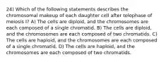 24) Which of the following statements describes the chromosomal makeup of each daughter cell after telophase of meiosis I? A) The cells are diploid, and the chromosomes are each composed of a single chromatid. B) The cells are diploid, and the chromosomes are each composed of two chromatids. C) The cells are haploid, and the chromosomes are each composed of a single chromatid. D) The cells are haploid, and the chromosomes are each composed of two chromatids.