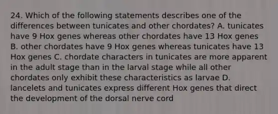 24. Which of the following statements describes one of the differences between tunicates and other chordates? A. tunicates have 9 Hox genes whereas other chordates have 13 Hox genes B. other chordates have 9 Hox genes whereas tunicates have 13 Hox genes C. chordate characters in tunicates are more apparent in the adult stage than in the larval stage while all other chordates only exhibit these characteristics as larvae D. lancelets and tunicates express different Hox genes that direct the development of the dorsal nerve cord