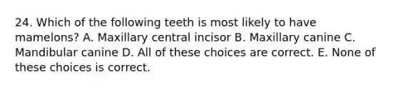 24. Which of the following teeth is most likely to have mamelons? A. Maxillary central incisor B. Maxillary canine C. Mandibular canine D. All of these choices are correct. E. None of these choices is correct.