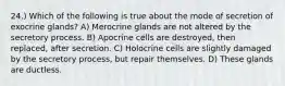 24.) Which of the following is true about the mode of secretion of exocrine glands? A) Merocrine glands are not altered by the secretory process. B) Apocrine cells are destroyed, then replaced, after secretion. C) Holocrine cells are slightly damaged by the secretory process, but repair themselves. D) These glands are ductless.