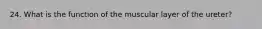 24. What is the function of the muscular layer of the ureter?