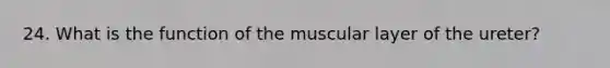 24. What is the function of the muscular layer of the ureter?