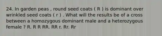 24. In garden peas , round seed coats ( R ) is dominant over wrinkled seed coats ( r ) . What will the results be of a cross between a homozygous dominant male and a heterozygous female ? R. R R RR. RR r. Rr. Rr