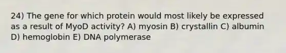 24) The gene for which protein would most likely be expressed as a result of MyoD activity? A) myosin B) crystallin C) albumin D) hemoglobin E) DNA polymerase