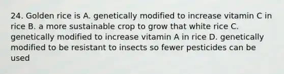 24. Golden rice is A. genetically modified to increase vitamin C in rice B. a more sustainable crop to grow that white rice C. genetically modified to increase vitamin A in rice D. genetically modified to be resistant to insects so fewer pesticides can be used