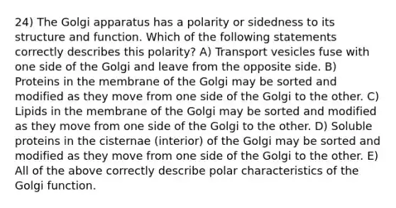 24) The Golgi apparatus has a polarity or sidedness to its structure and function. Which of the following statements correctly describes this polarity? A) Transport vesicles fuse with one side of the Golgi and leave from the opposite side. B) Proteins in the membrane of the Golgi may be sorted and modified as they move from one side of the Golgi to the other. C) Lipids in the membrane of the Golgi may be sorted and modified as they move from one side of the Golgi to the other. D) Soluble proteins in the cisternae (interior) of the Golgi may be sorted and modified as they move from one side of the Golgi to the other. E) All of the above correctly describe polar characteristics of the Golgi function.