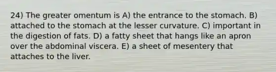 24) The greater omentum is A) the entrance to the stomach. B) attached to the stomach at the lesser curvature. C) important in the digestion of fats. D) a fatty sheet that hangs like an apron over the abdominal viscera. E) a sheet of mesentery that attaches to the liver.