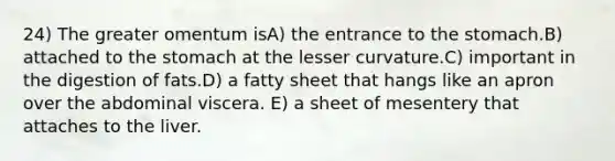 24) The greater omentum isA) the entrance to <a href='https://www.questionai.com/knowledge/kLccSGjkt8-the-stomach' class='anchor-knowledge'>the stomach</a>.B) attached to the stomach at the lesser curvature.C) important in the digestion of fats.D) a fatty sheet that hangs like an apron over the abdominal viscera. E) a sheet of mesentery that attaches to the liver.