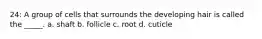 24: A group of cells that surrounds the developing hair is called the _____. a. shaft b. follicle c. root d. cuticle