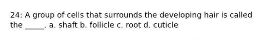 24: A group of cells that surrounds the developing hair is called the _____. a. shaft b. follicle c. root d. cuticle