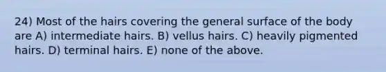 24) Most of the hairs covering the general surface of the body are A) intermediate hairs. B) vellus hairs. C) heavily pigmented hairs. D) terminal hairs. E) none of the above.