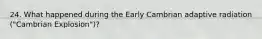 24. What happened during the Early Cambrian adaptive radiation ("Cambrian Explosion")?