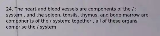 24. The heart and blood vessels are components of the / : system , and the spleen, tonsils, thymus, and bone marrow are components of the / system; together , all of these organs comprise the / system