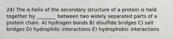 24) The α-helix of the <a href='https://www.questionai.com/knowledge/kRddrCuqpV-secondary-structure' class='anchor-knowledge'>secondary structure</a> of a protein is held together by ________ between two widely separated parts of a protein chain. A) hydrogen bonds B) disulfide bridges C) salt bridges D) hydrophilic interactions E) hydrophobic interactions