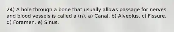 24) A hole through a bone that usually allows passage for nerves and blood vessels is called a (n). a) Canal. b) Alveolus. c) Fissure. d) Foramen. e) Sinus.