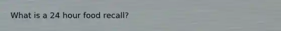What is a 24 hour food recall?