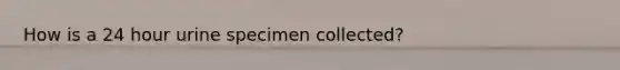 How is a 24 hour urine specimen collected?