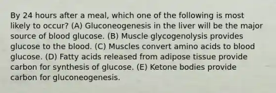 By 24 hours after a meal, which one of the following is most likely to occur? (A) Gluconeogenesis in the liver will be the major source of blood glucose. (B) Muscle glycogenolysis provides glucose to the blood. (C) Muscles convert amino acids to blood glucose. (D) Fatty acids released from adipose tissue provide carbon for synthesis of glucose. (E) Ketone bodies provide carbon for gluconeogenesis.