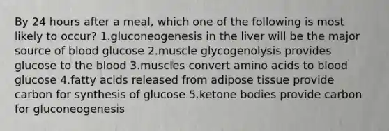 By 24 hours after a meal, which one of the following is most likely to occur? 1.gluconeogenesis in the liver will be the major source of blood glucose 2.muscle glycogenolysis provides glucose to the blood 3.muscles convert amino acids to blood glucose 4.fatty acids released from adipose tissue provide carbon for synthesis of glucose 5.ketone bodies provide carbon for gluconeogenesis