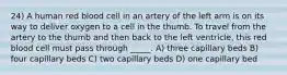 24) A human red blood cell in an artery of the left arm is on its way to deliver oxygen to a cell in the thumb. To travel from the artery to the thumb and then back to the left ventricle, this red blood cell must pass through _____. A) three capillary beds B) four capillary beds C) two capillary beds D) one capillary bed