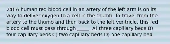 24) A human red blood cell in an artery of the left arm is on its way to deliver oxygen to a cell in the thumb. To travel from the artery to the thumb and then back to the left ventricle, this red blood cell must pass through _____. A) three capillary beds B) four capillary beds C) two capillary beds D) one capillary bed