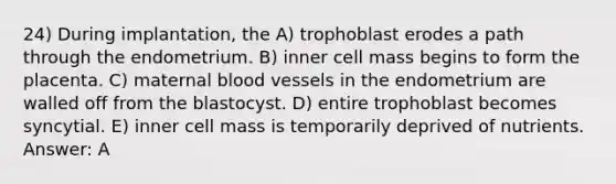 24) During implantation, the A) trophoblast erodes a path through the endometrium. B) inner cell mass begins to form the placenta. C) maternal blood vessels in the endometrium are walled off from the blastocyst. D) entire trophoblast becomes syncytial. E) inner cell mass is temporarily deprived of nutrients. Answer: A