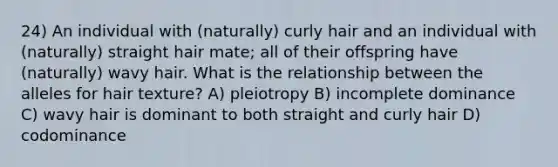 24) An individual with (naturally) curly hair and an individual with (naturally) straight hair mate; all of their offspring have (naturally) wavy hair. What is the relationship between the alleles for hair texture? A) pleiotropy B) incomplete dominance C) wavy hair is dominant to both straight and curly hair D) codominance