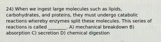 24) When we ingest large molecules such as lipids, carbohydrates, and proteins, they must undergo catabolic reactions whereby enzymes split these molecules. This series of reactions is called ________. A) mechanical breakdown B) absorption C) secretion D) chemical digestion