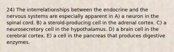 24) The interrelationships between the endocrine and the nervous systems are especially apparent in A) a neuron in the spinal cord. B) a steroid-producing cell in the adrenal cortex. C) a neurosecretory cell in the hypothalamus. D) a brain cell in the cerebral cortex. E) a cell in the pancreas that produces digestive enzymes.