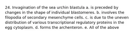 24. Invagination of the sea urchin blastula a. is preceded by changes in the shape of individual blastomeres. b. involves the filopodia of secondary mesenchyme cells. c. is due to the uneven distribution of various transcriptional regulatory proteins in the egg cytoplasm. d. forms the archenteron. e. All of the above