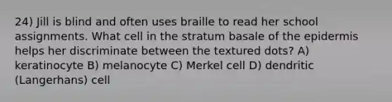 24) Jill is blind and often uses braille to read her school assignments. What cell in the stratum basale of the epidermis helps her discriminate between the textured dots? A) keratinocyte B) melanocyte C) Merkel cell D) dendritic (Langerhans) cell