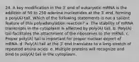 24. A key modification in the 3′ end of eukaryotic mRNA is the addition of 50 to 250 adenine nucleotides at the 3′ end, forming a poly(A) tail. Which of the following statements is not a salient feature of this polyadenylation reaction? a. The stability of mRNA transcripts in the cytoplasm is affected by poly(A) tail. b. Poly(A) tail facilitates the attachment of the ribosomes to the mRNA. c. Proper poly(A) tail is important for proper nuclear export of mRNA. d. Poly(A) tail at the 3′ end translates to a long stretch of repeated amino acids. e. Multiple proteins will recognize and bind to poly(A) tail in the cytoplasm.