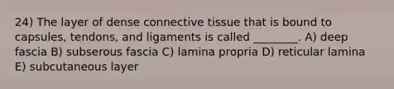 24) The layer of dense <a href='https://www.questionai.com/knowledge/kYDr0DHyc8-connective-tissue' class='anchor-knowledge'>connective tissue</a> that is bound to capsules, tendons, and ligaments is called ________. A) deep fascia B) subserous fascia C) lamina propria D) reticular lamina E) subcutaneous layer