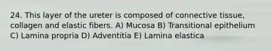 24. This layer of the ureter is composed of <a href='https://www.questionai.com/knowledge/kYDr0DHyc8-connective-tissue' class='anchor-knowledge'>connective tissue</a>, collagen and elastic fibers. A) Mucosa B) Transitional epithelium C) Lamina propria D) Adventitia E) Lamina elastica