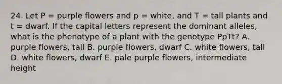 24. Let P = purple flowers and p = white, and T = tall plants and t = dwarf. If the capital letters represent the dominant alleles, what is the phenotype of a plant with the genotype PpTt? A. purple flowers, tall B. purple flowers, dwarf C. white flowers, tall D. white flowers, dwarf E. pale purple flowers, intermediate height