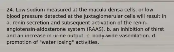 24. Low sodium measured at the macula densa cells, or low blood pressure detected at the juxtaglomerular cells will result in a. renin secretion and subsequent activation of the renin-angiotensin-aldosterone system (RAAS). b. an inhibition of thirst and an increase in urine output. c. body-wide vasodilation. d. promotion of "water losing" activities.