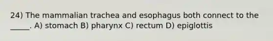 24) The mammalian trachea and esophagus both connect to the _____. A) stomach B) pharynx C) rectum D) epiglottis