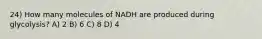 24) How many molecules of NADH are produced during glycolysis? A) 2 B) 6 C) 8 D) 4