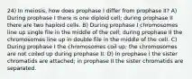 24) In meiosis, how does prophase I differ from prophase II? A) During prophase I there is one diploid cell; during prophase II there are two haploid cells. B) During prophase I chromosomes line up single file in the middle of the cell; during prophase II the chromosomes line up in double file in the middle of the cell. C) During prophase I the chromosomes coil up; the chromosomes are not coiled up during prophase II. D) In prophase I the sister chromatids are attached; in prophase II the sister chromatids are separated.