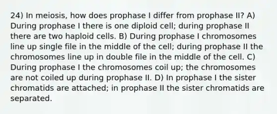 24) In meiosis, how does prophase I differ from prophase II? A) During prophase I there is one diploid cell; during prophase II there are two haploid cells. B) During prophase I chromosomes line up single file in the middle of the cell; during prophase II the chromosomes line up in double file in the middle of the cell. C) During prophase I the chromosomes coil up; the chromosomes are not coiled up during prophase II. D) In prophase I the sister chromatids are attached; in prophase II the sister chromatids are separated.